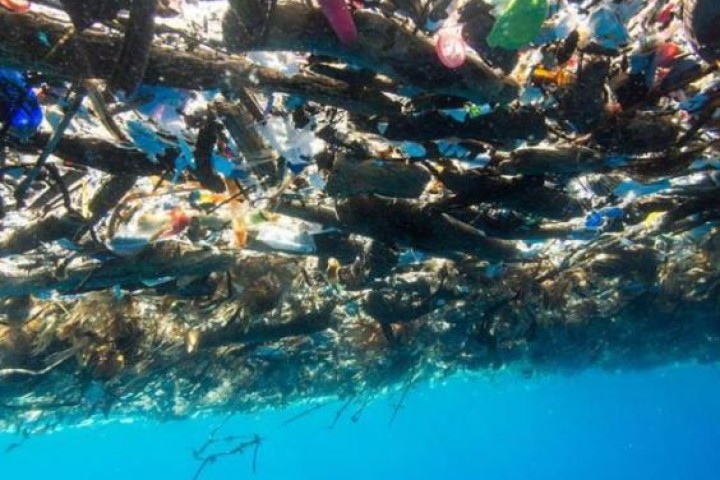 Tide of Plastic Discovered Floating off Coast of Caribbean Island